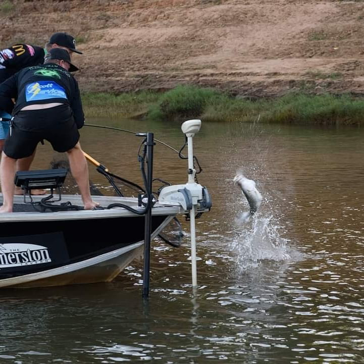 Ben Jobb used the transducer pole on his boat for 5 days straight at the barra classic